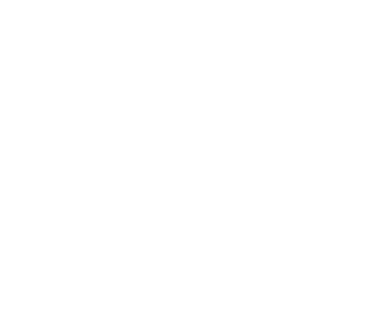 Javipinkk